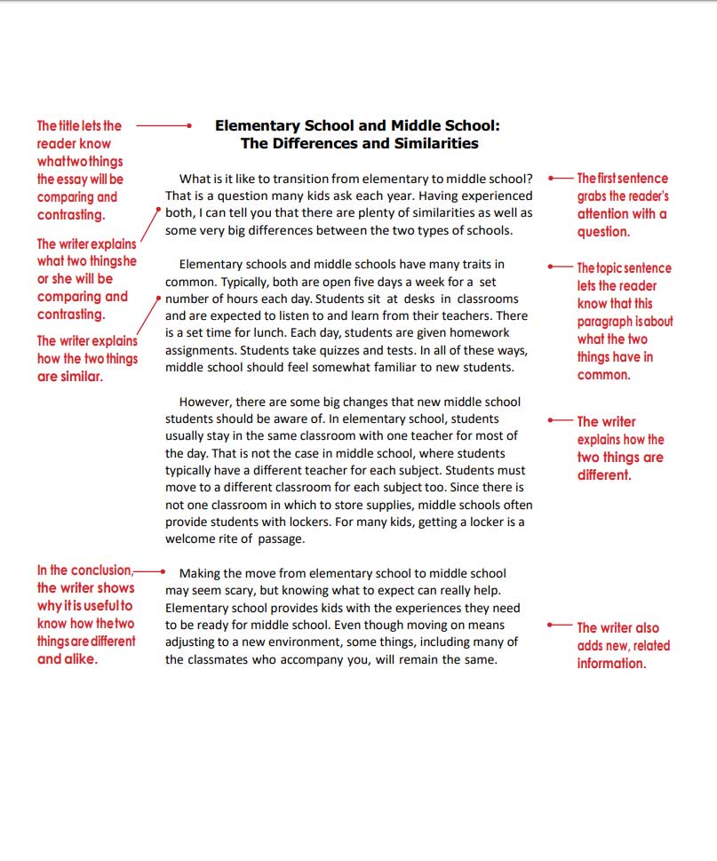 6th grade compare and contrast essay examples