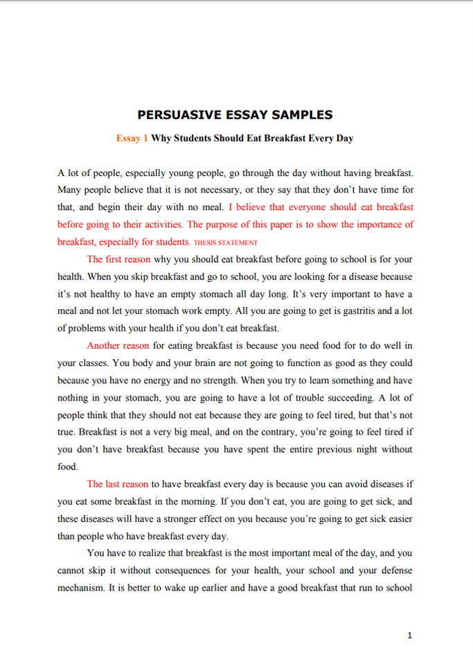 high school essay examples pdf